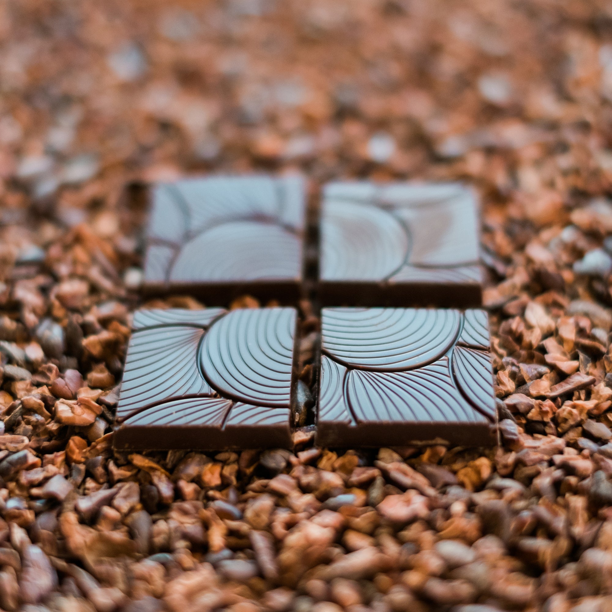 Chocolate Factory Tour & Tasting Workshop