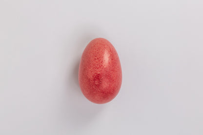 The Flamingo Egg