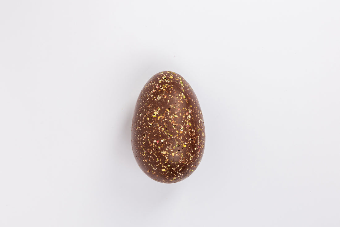 The Arabian Bee Eater