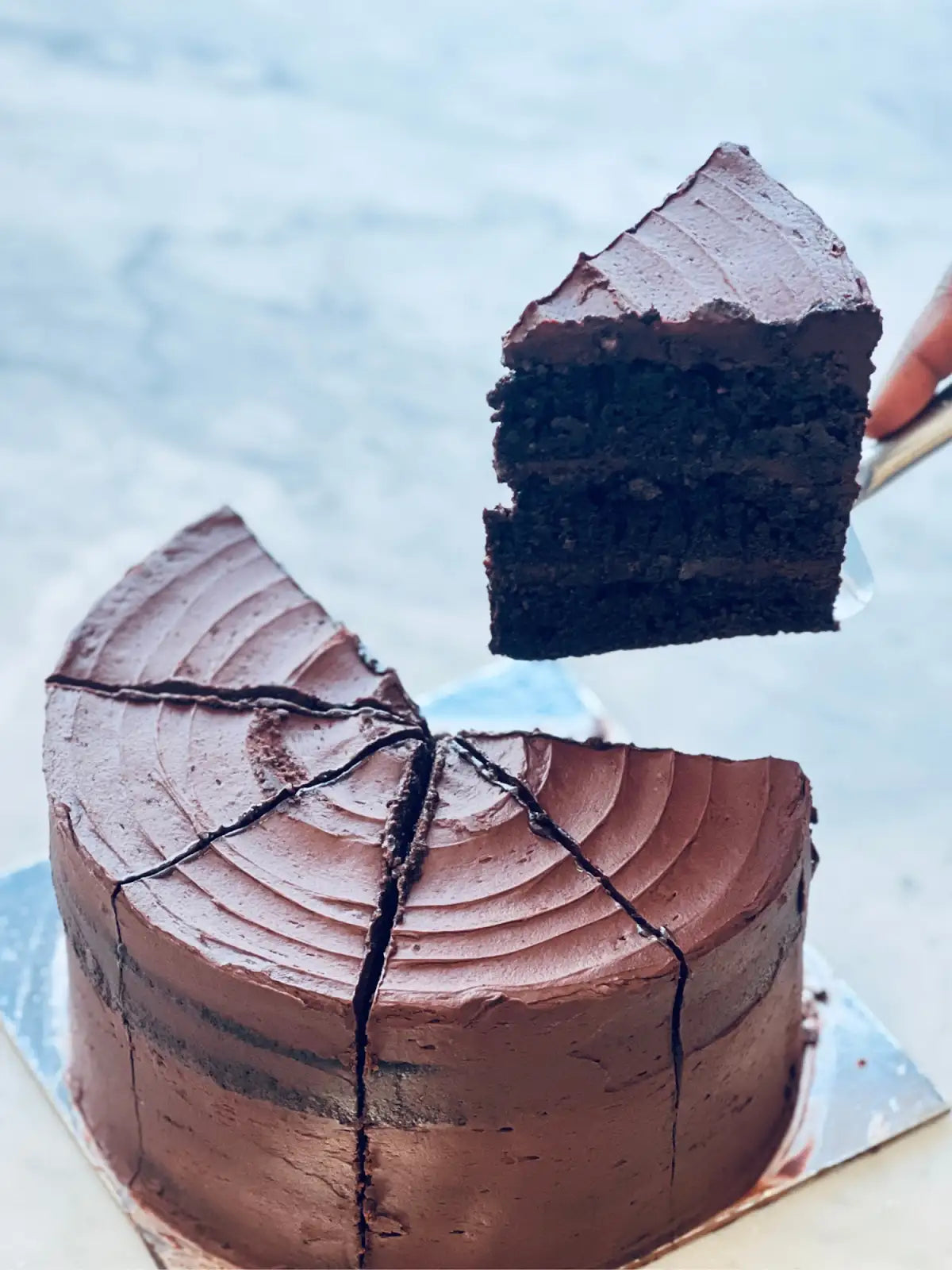 Mirzam Signature Chocolate Cake