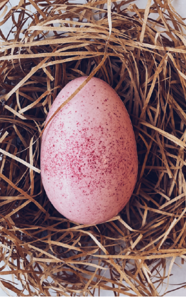 Flamingo Egg: Raspberry White Chocolate – Mirzam